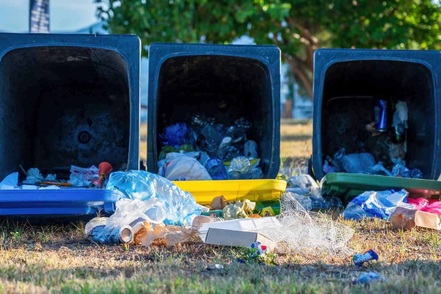 Best Office Junk Removal  in Wharton, TX